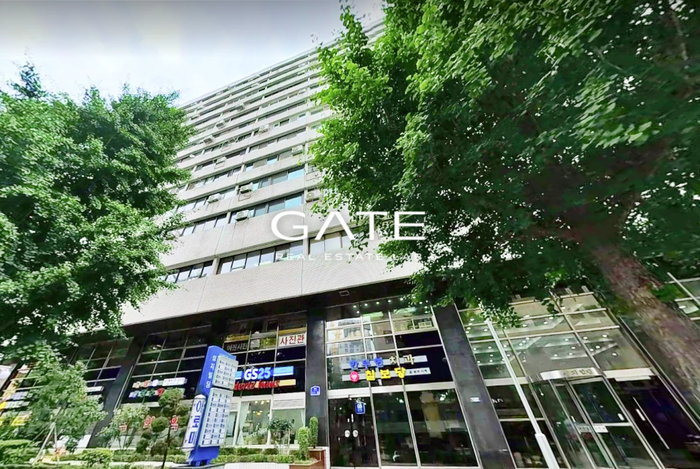 서울 마포구 도화동 GATE 수익률 좋은 마포역초역세권 전용17평 지하 1층 상가 매매 매물번호 13842 사진 1